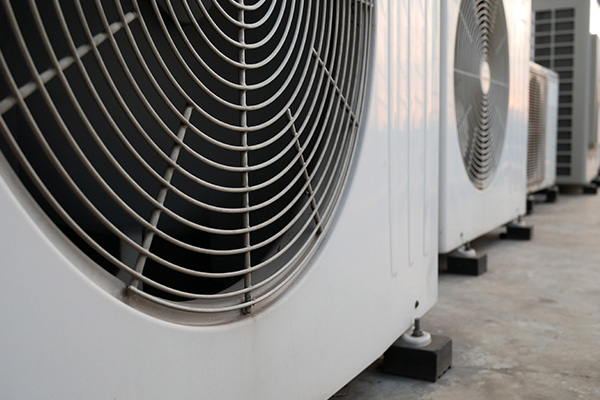 Fan Close Up Weston Fl